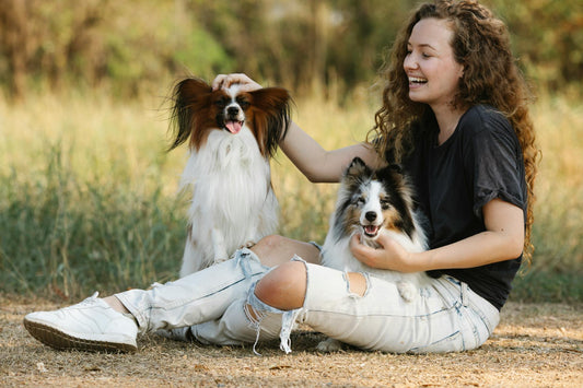 The Importance of Interactive Play for Your Dog’s Well-being