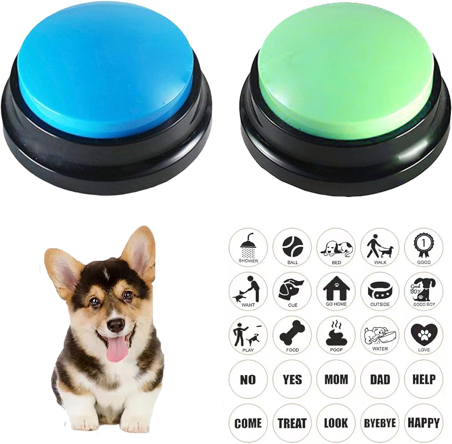 Pet Talk Button Toy