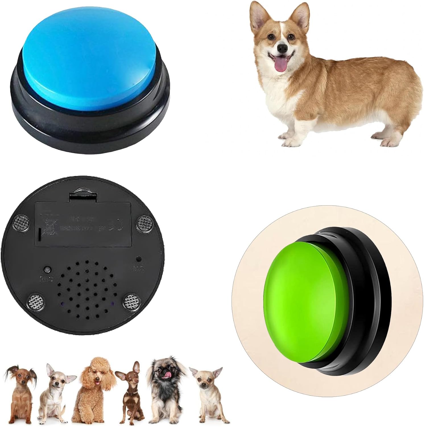 Pet Talk Button Toy