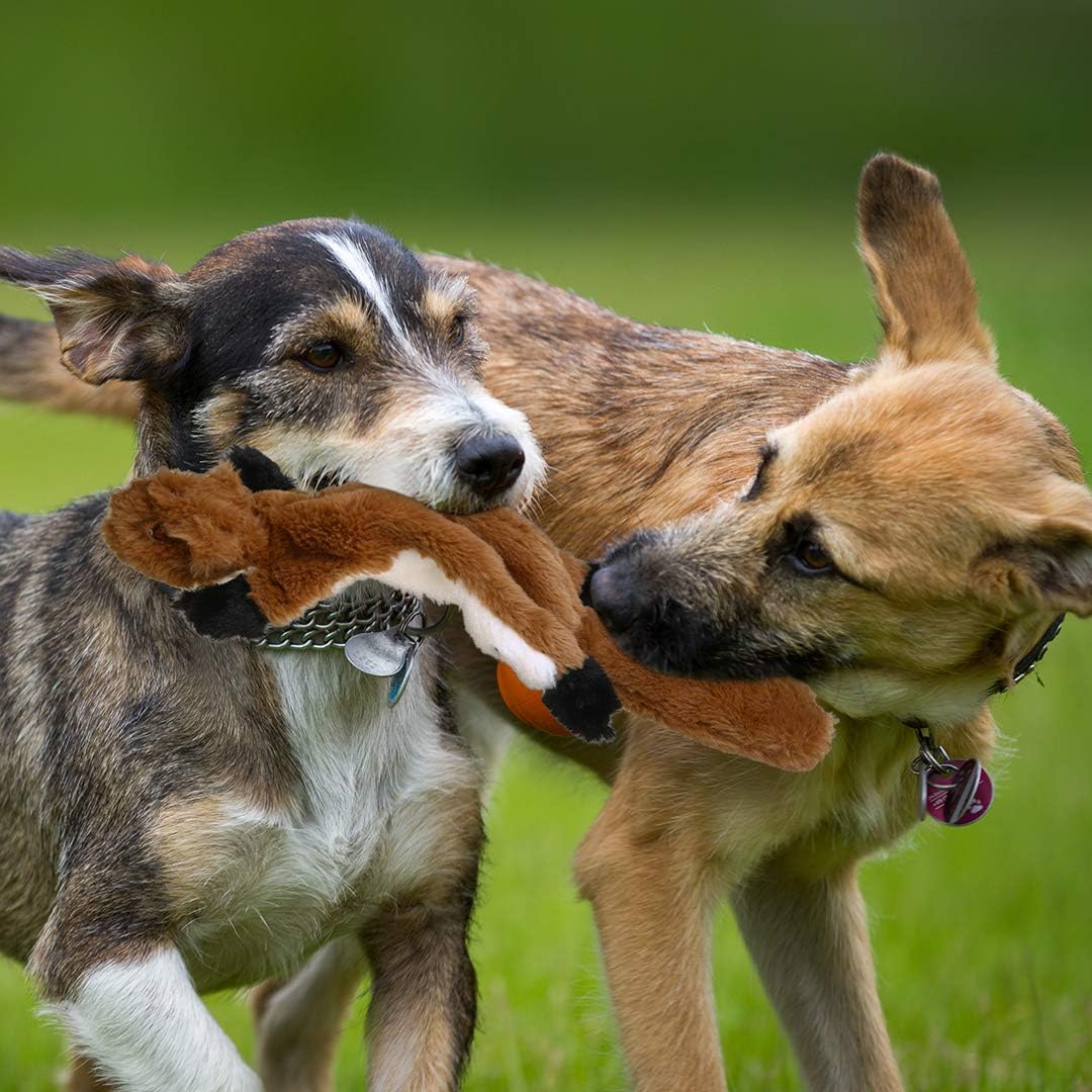 Durable Squeaky Dog Chew