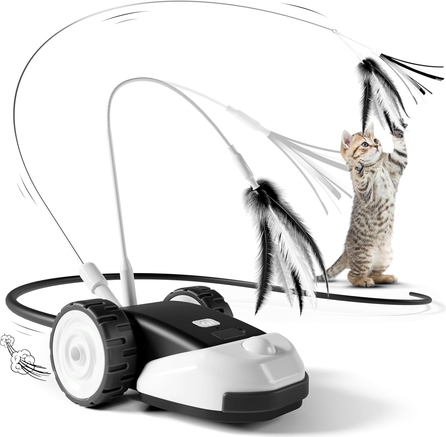 Interactive Cat Chase Toy