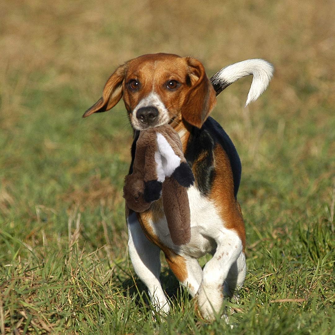 Durable Squeaky Dog Chew