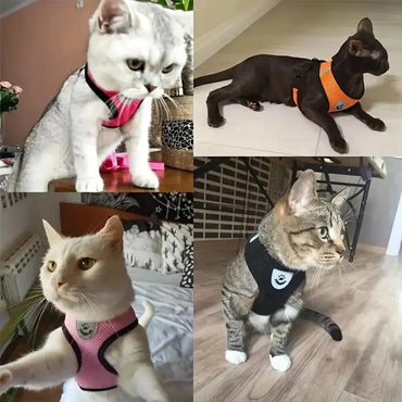 PawFit Mesh Pet Harness