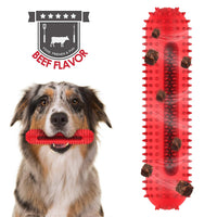 Tough Squeaky Dog Chew Toy