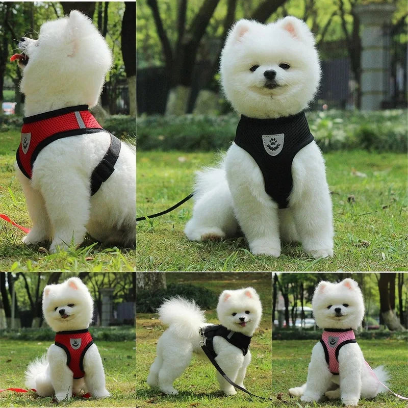 PawFit Mesh Pet Harness