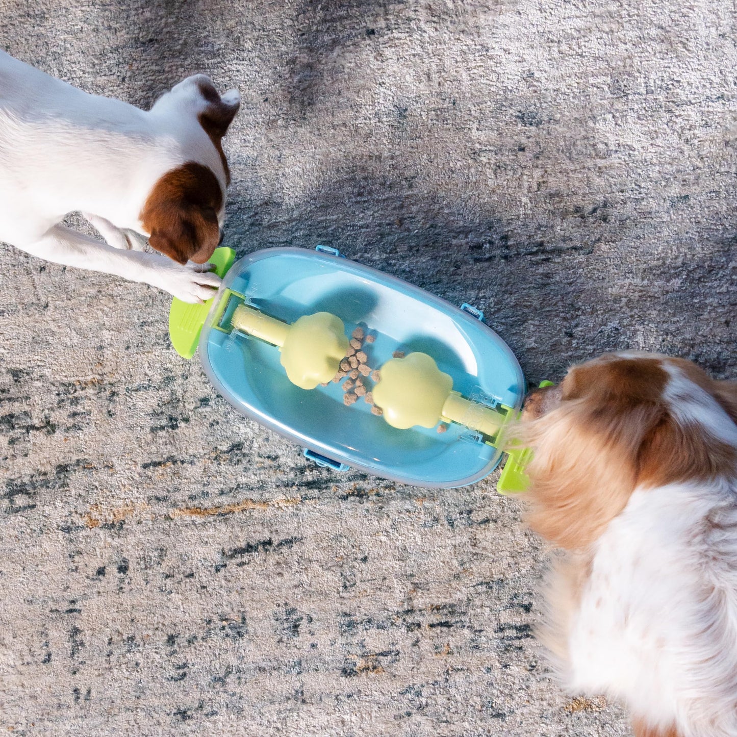 Paw N' Grab Treat Game