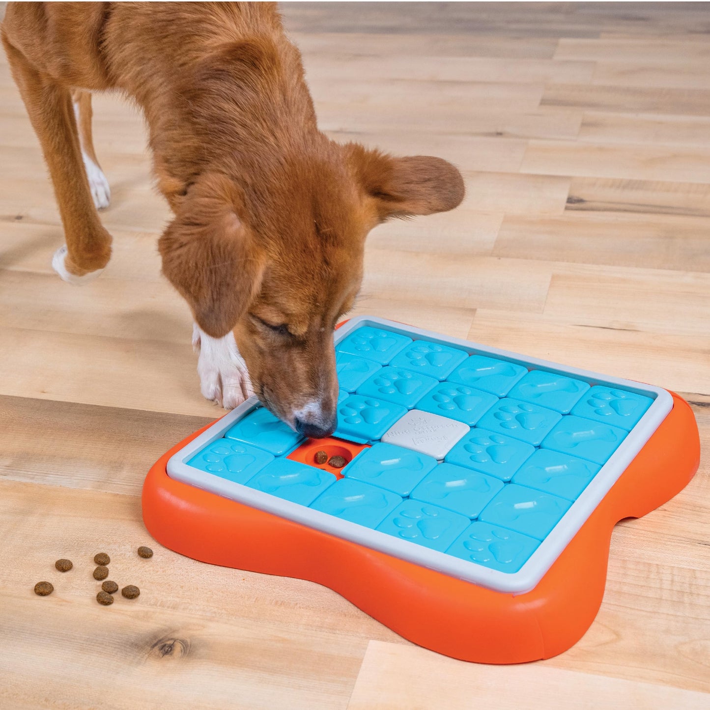 Genius Dog Treat Puzzle