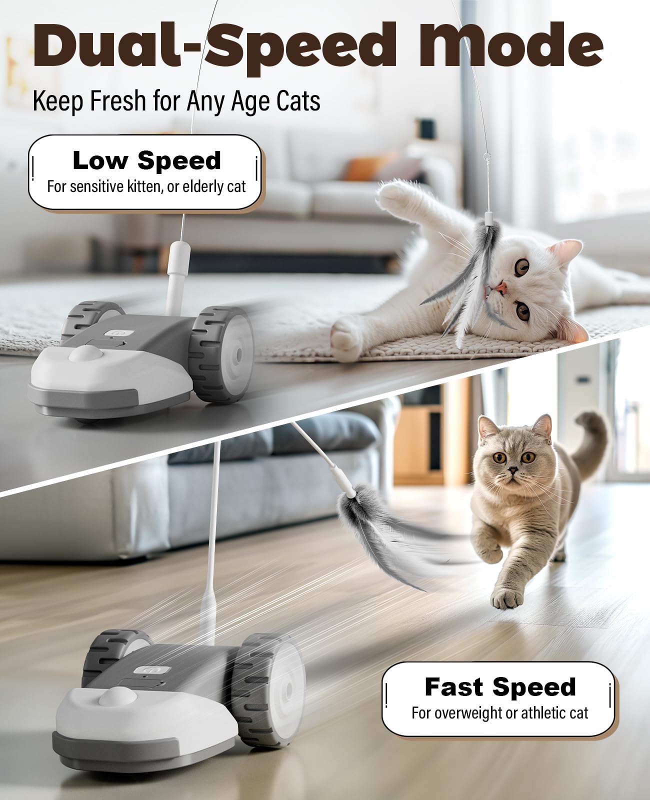 Interactive Cat Chase Toy