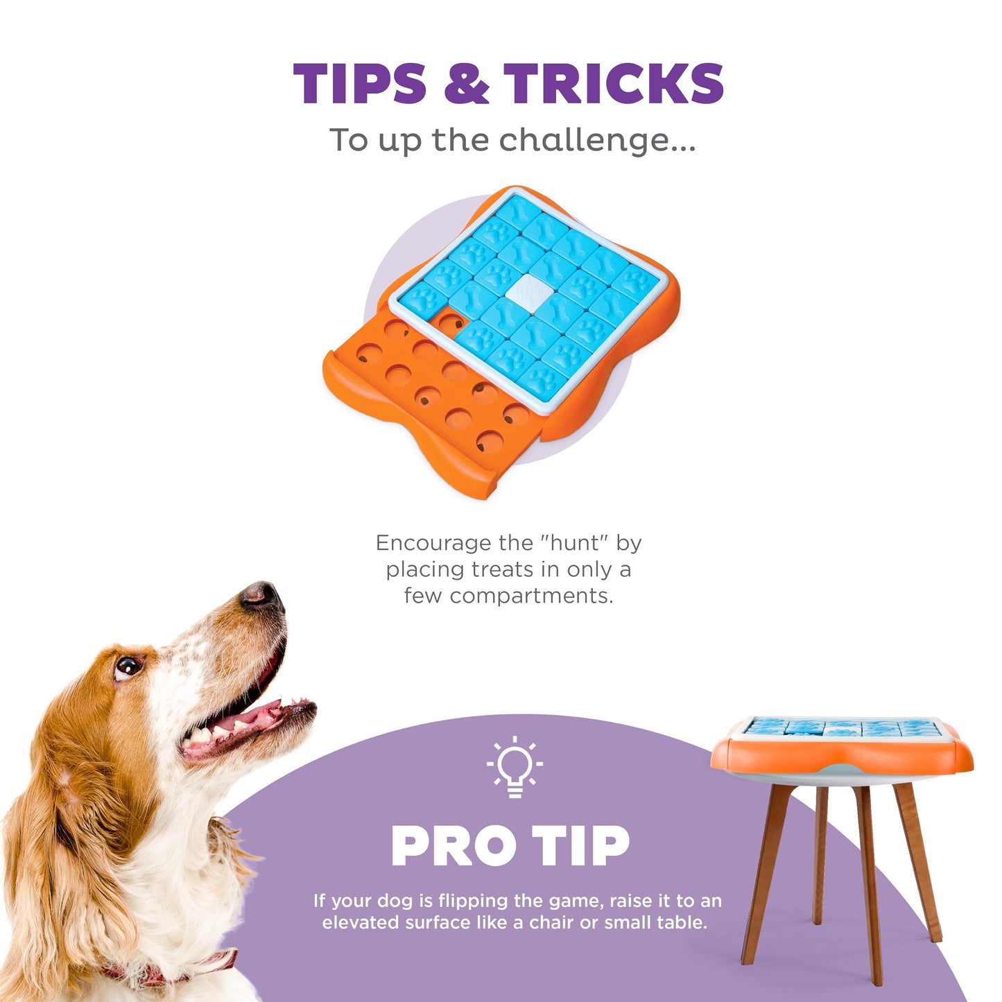 Genius Dog Treat Puzzle