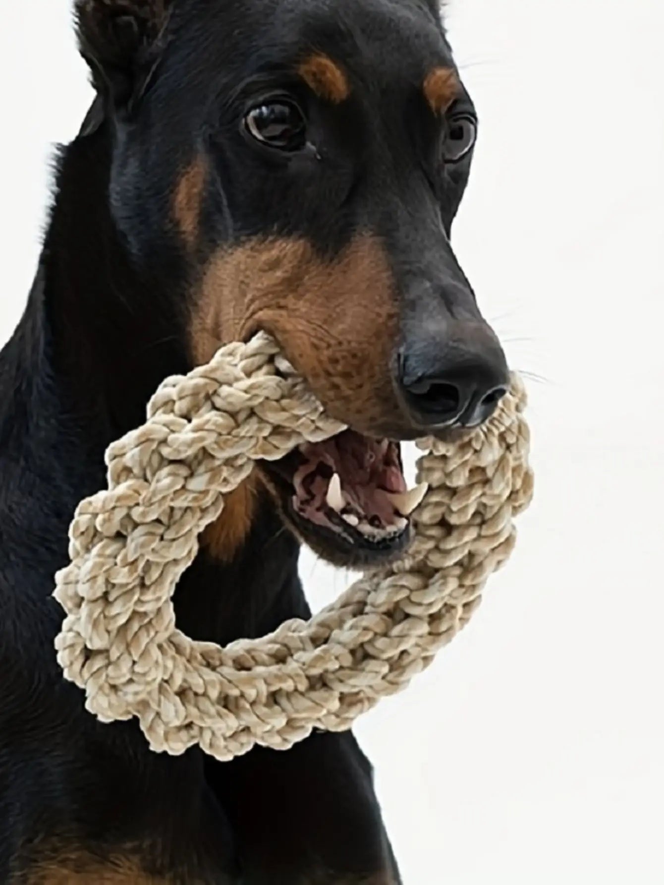 Tough Pup Chew Rope