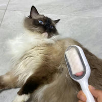 Pet Grooming EZ Brush