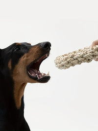 Tough Pup Chew Rope