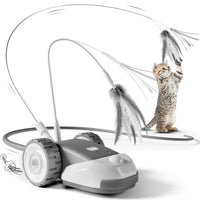 Interactive Cat Chase Toy